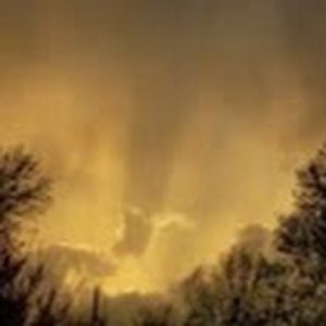 Meet your Posher, Savannah